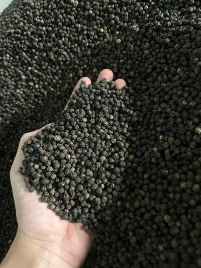 Black Pepper — Indian export quality